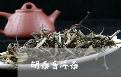 胡茶普洱茶/2023102533158