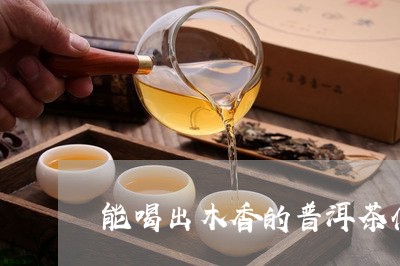 能喝出木香的普洱茶什么档次/2023082669393