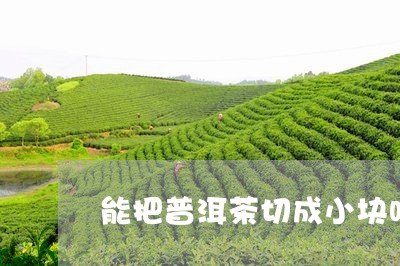 能把普洱茶切成小块吗/2023062925489