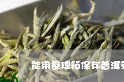 能用整理箱保存普洱茶/2023073149581