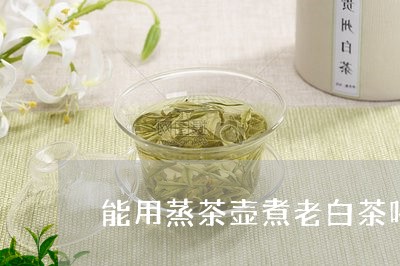 能用蒸茶壶煮老白茶喝吗/2023110379714