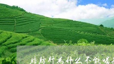 脂肪肝为什么不能喝茶/2023071560726