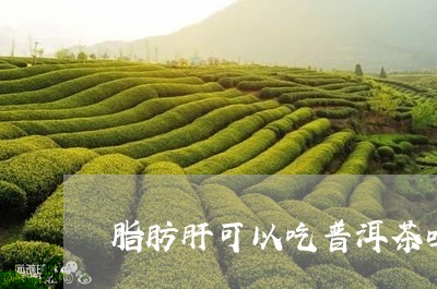 脂肪肝可以吃普洱茶吗/2023092760583