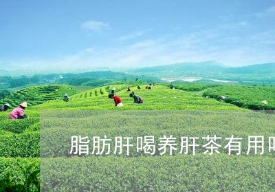 脂肪肝喝养肝茶有用吗/2023071469693