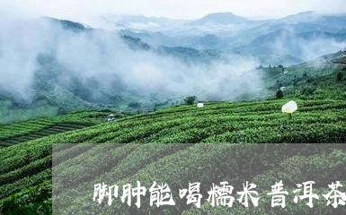 脚肿能喝糯米普洱茶吗/2023092692694