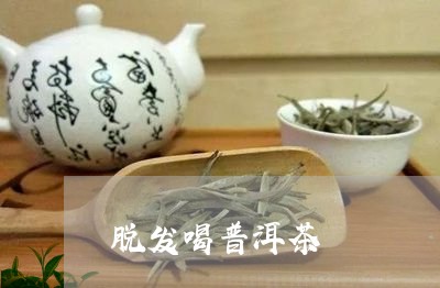 脱发喝普洱茶/2023042693436