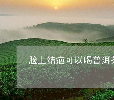 脸上结疤可以喝普洱茶吗/2023081782948