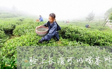 脸上长痘可以喝茶叶吗/2023061227493