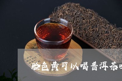 脸色黄可以喝普洱茶吗/2023062963058