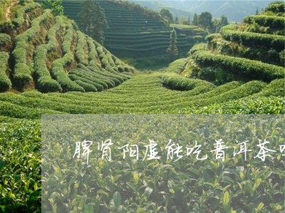 脾肾阳虚能吃普洱茶吗/2023093013925