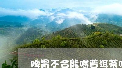 脾胃不合能喝普洱茶吗/2023072439492