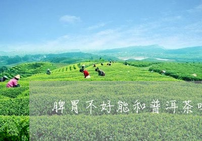 脾胃不好能和普洱茶吗/2023061870626