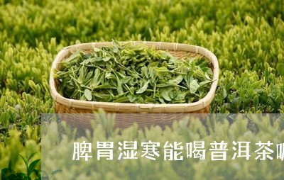 脾胃湿寒能喝普洱茶嘛/2023062109505