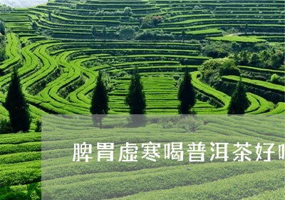 脾胃虚寒喝普洱茶好吗/2023062491482