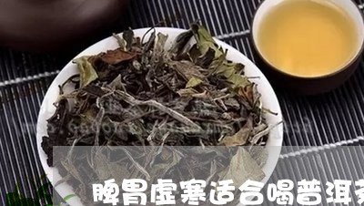 脾胃虚寒适合喝普洱茶/2023073183935