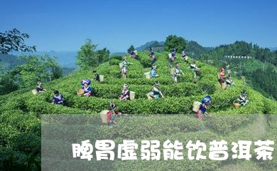 脾胃虚弱能饮普洱茶吗/2023072471705