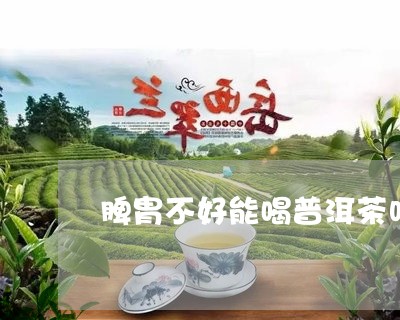 脾胄不好能喝普洱茶吗/2023093030471