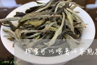 脾虚可以喝普洱茶熟茶/2023080238481