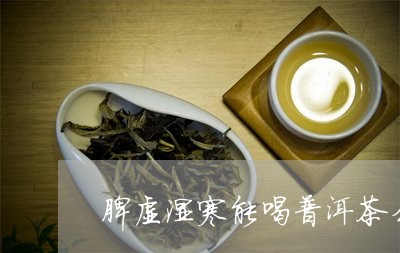 脾虚湿寒能喝普洱茶么/2023062344063