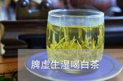 脾虚生湿喝白茶/2023061006361