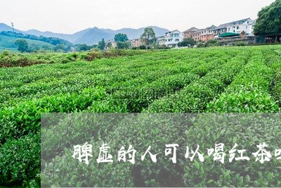 脾虚的人可以喝红茶吗/2023071428581