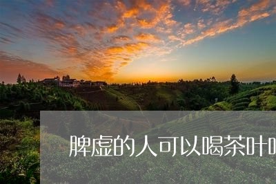 脾虚的人可以喝茶叶吗/2023061145049