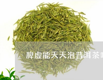 脾虚能天天泡普洱茶吗/2023062188593