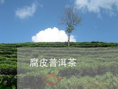 腐皮普洱茶/2023102516058