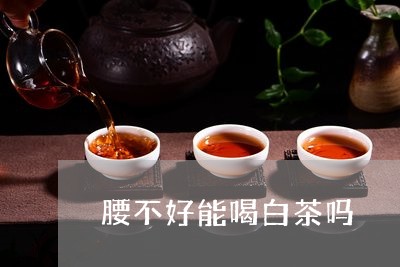 腰不好能喝白茶吗/2023071187473