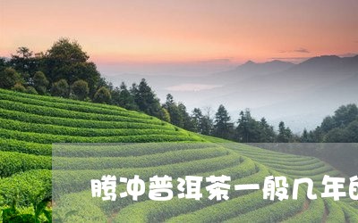 腾冲普洱茶一般几年的质量/2023121883868
