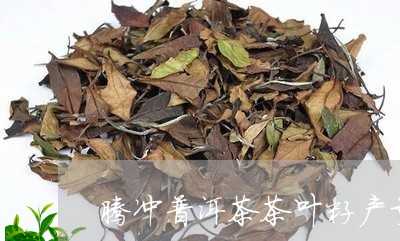 腾冲普洱茶茶叶籽产量/2023092558481