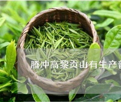 腾冲高黎贡山有生产普洱茶吗/2023121805040