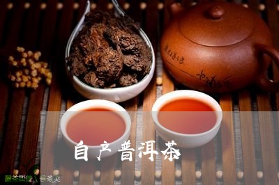 自产普洱茶/2023090585258