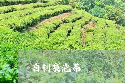 自制袋泡茶/2023090216069