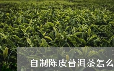 自制陈皮普洱茶怎么泡好/2023081486048