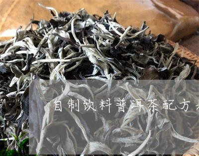 自制饮料普洱茶配方表图/2023121872017