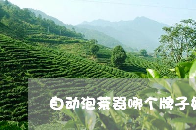 自动泡茶器哪个牌子好/2023092008380