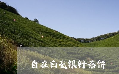 自在白毫银针茶饼/2023090605147