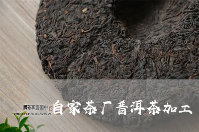 自家茶厂普洱茶加工/2023120548251