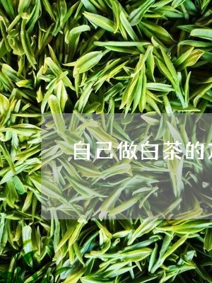 自己做白茶的方法/2023071194070