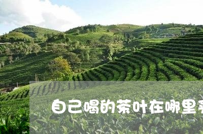 自己喝的茶叶在哪里买/2023092352605