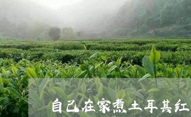 自己在家煮土耳其红茶/2023071406492