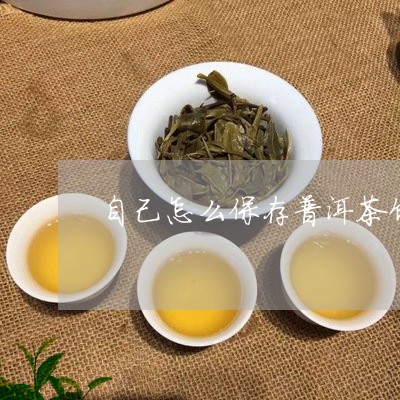 自己怎么保存普洱茶饼子/2023082762369