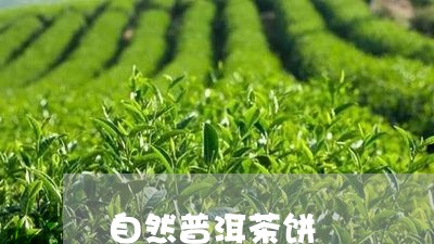 自然普洱茶饼/2023042848438