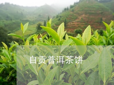 自贡普洱茶饼/2023042773337