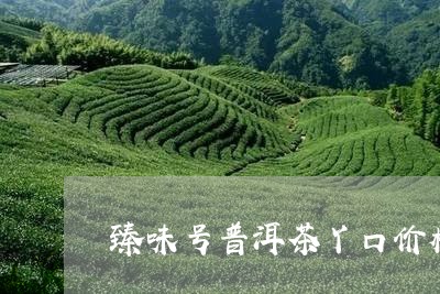 臻味号普洱茶丫口价格/2023061950383