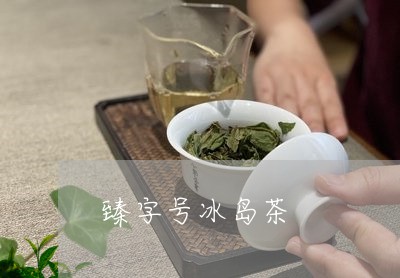 臻字号冰岛茶/2023090742514