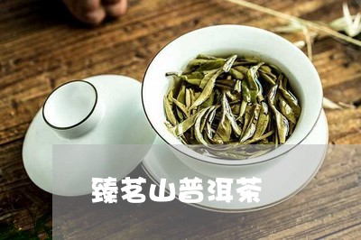 臻茗山普洱茶/2023042884973