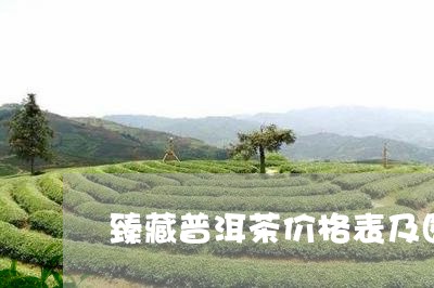 臻藏普洱茶价格表及图片/2023120735160