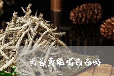 舌苔黄能喝白茶吗/2023071158461